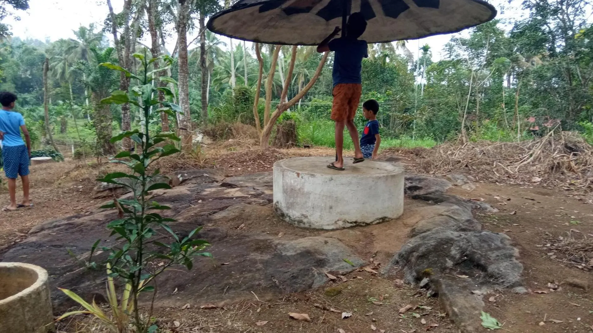 Johnson'S Fruit Garden Daire Meenangadi Pansiyon
